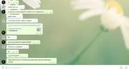тупой 3.webp