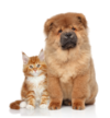 klipartz.com (16).png