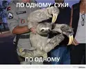 1381652983_1052491694.webp