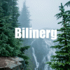 Bilinerg.gif