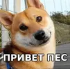 1561180993_file_3430581.webp