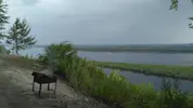 1622300588076423466629.webp