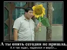 17-38-29-10018.webp