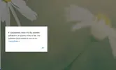 screen.webp