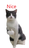 nice.webp