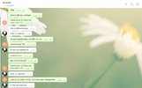 333.webp
