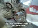 GAkQ_qC_yMc.webp