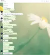 конч1.webp