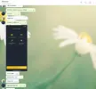 конч2.webp