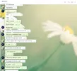 конч3.webp