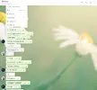 конч4.webp