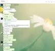 конч6.webp
