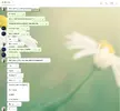 конч7.webp