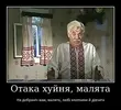 вт.webp