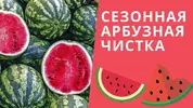 maxresdefault.webp