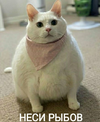1628510395662.webp