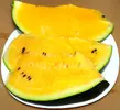 IMGP8200.webp