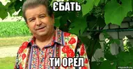 lvVKnidn84E.webp