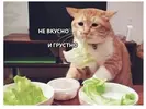 FB463E65-55EE-42F2-A1CB-3C302B584484.webp