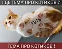 0AC3F0EF-0F04-4DC7-BF8B-0EE94CC3E159.webp