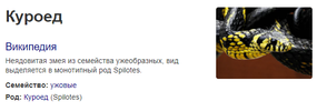 Куроед.webp