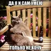 risovach.ru.webp