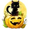 26629148-a-cute-black-cat-on-a-halloween-pumpkin-eps8-isolated-on-white-each-element-grouped-w...jpg