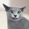 ab069f3f5082ee5fe5474b4ce5365871.webp