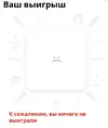 ebb.webp