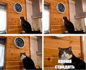 1636817450329.webp 1636817450329.webp