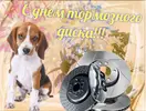 cb47251984890b75cc81efdfab909d55.webp