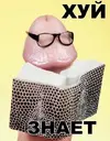 p8PEmE9Dat4.webp