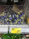 IMG_20211205_110748.webp