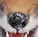 upload_2016-12-4_22-1-37.webp
