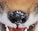 upload_2016-12-4_22-1-48.webp