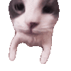 111.gif