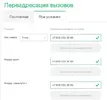 мегаф.webp