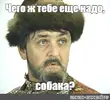 0c8fc34cbb5286265a44c3be5f0a7415.webp