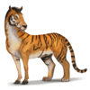 936d6b638cccb1547b2d1b80a73f1e49.webp