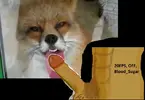 загруженное.webp