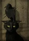 c28b202239128068275444873c45d33c.webp
