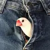 IayyUMaCuqs.webp