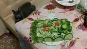 20190222_074330.webp