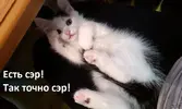 cAMAhsGJcsg.webp
