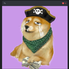 1642490672018.webp