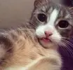 RfnyWbIPJHk.webp