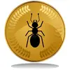 золото-монетки-муравея-10179779.webp