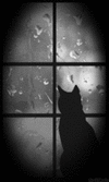 8738700ff78d0028079003d2f19b8a2f.gif