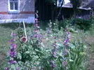 025.webp