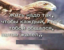1644344665415.webp 1644344665415.webp